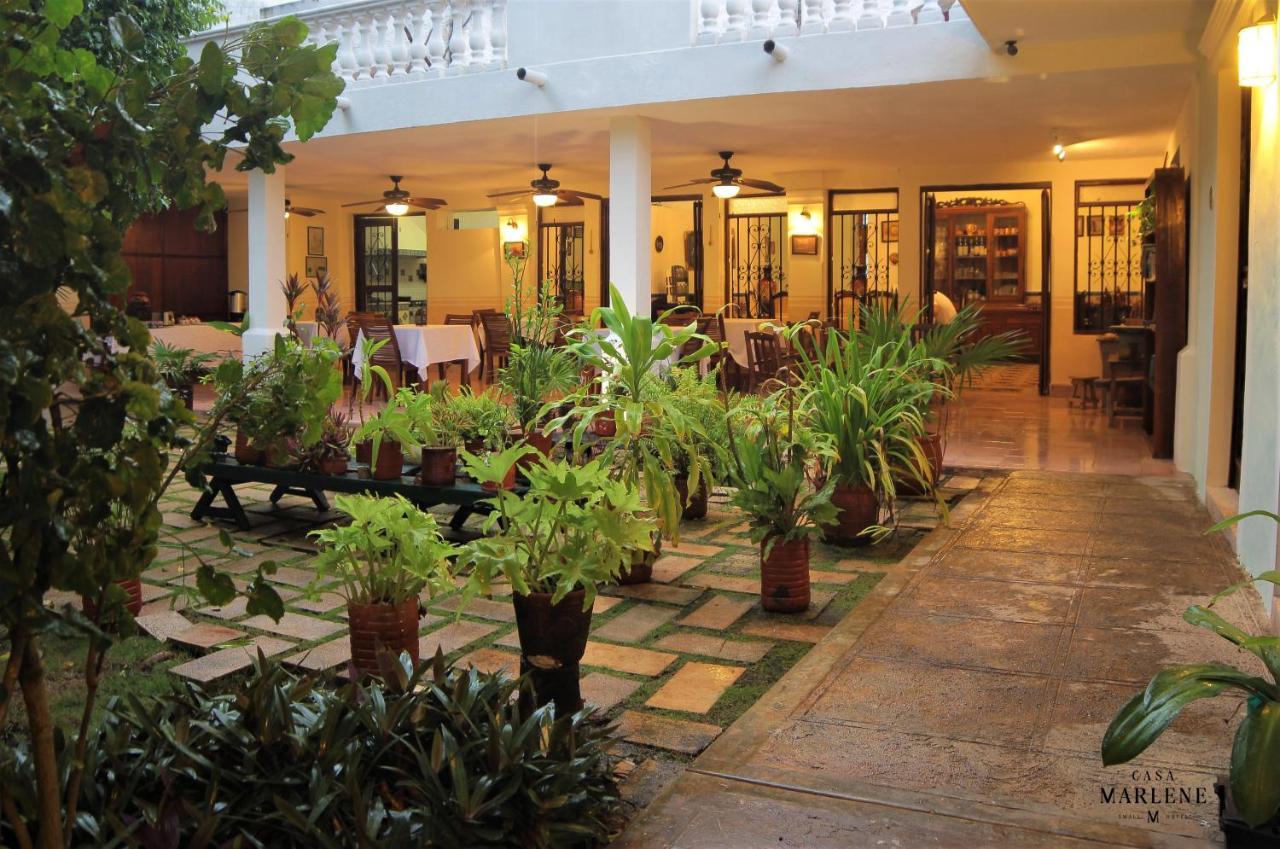 Casa Marlene Hotel Valladolid  Eksteriør billede